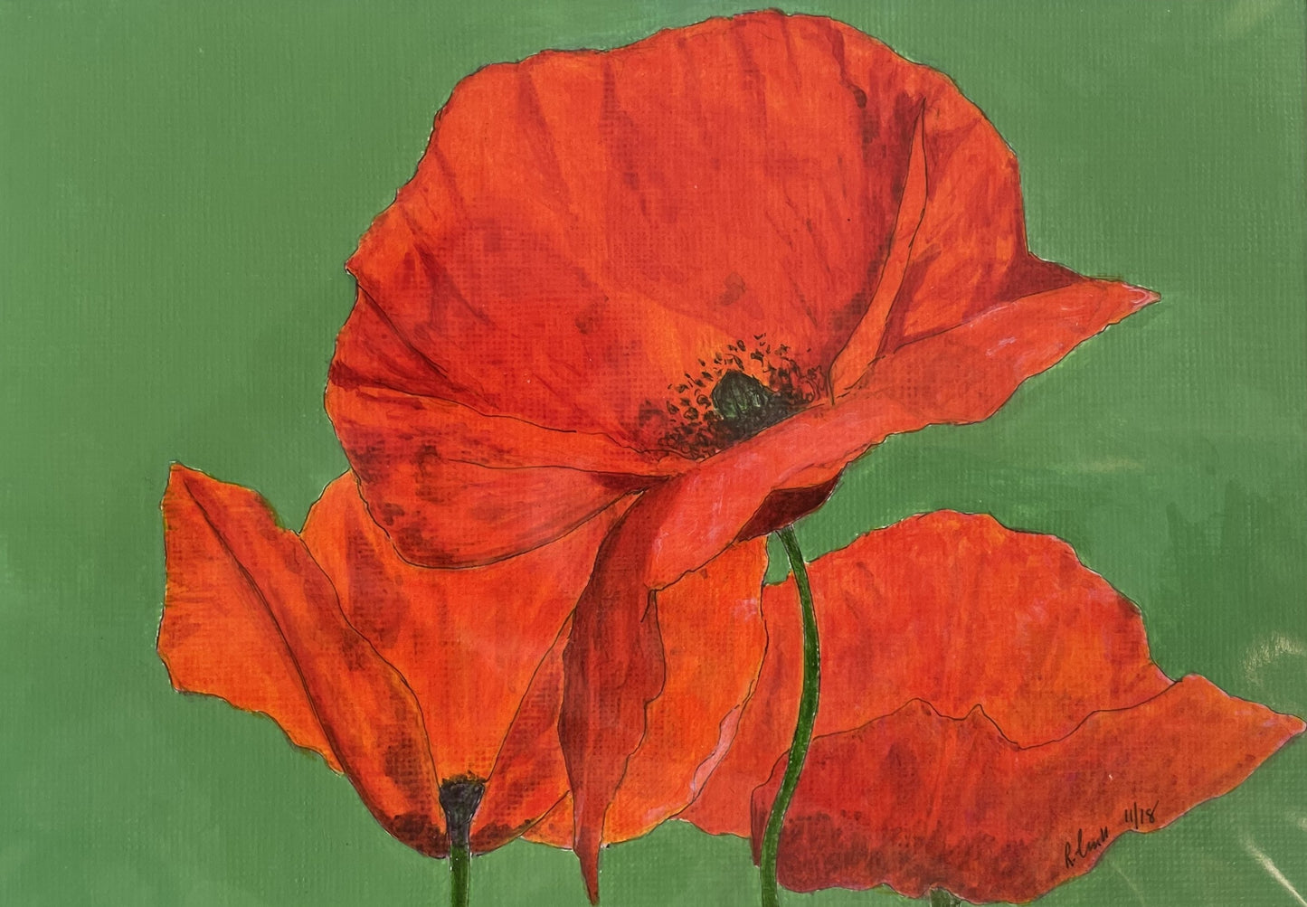 Poppies - greeting card