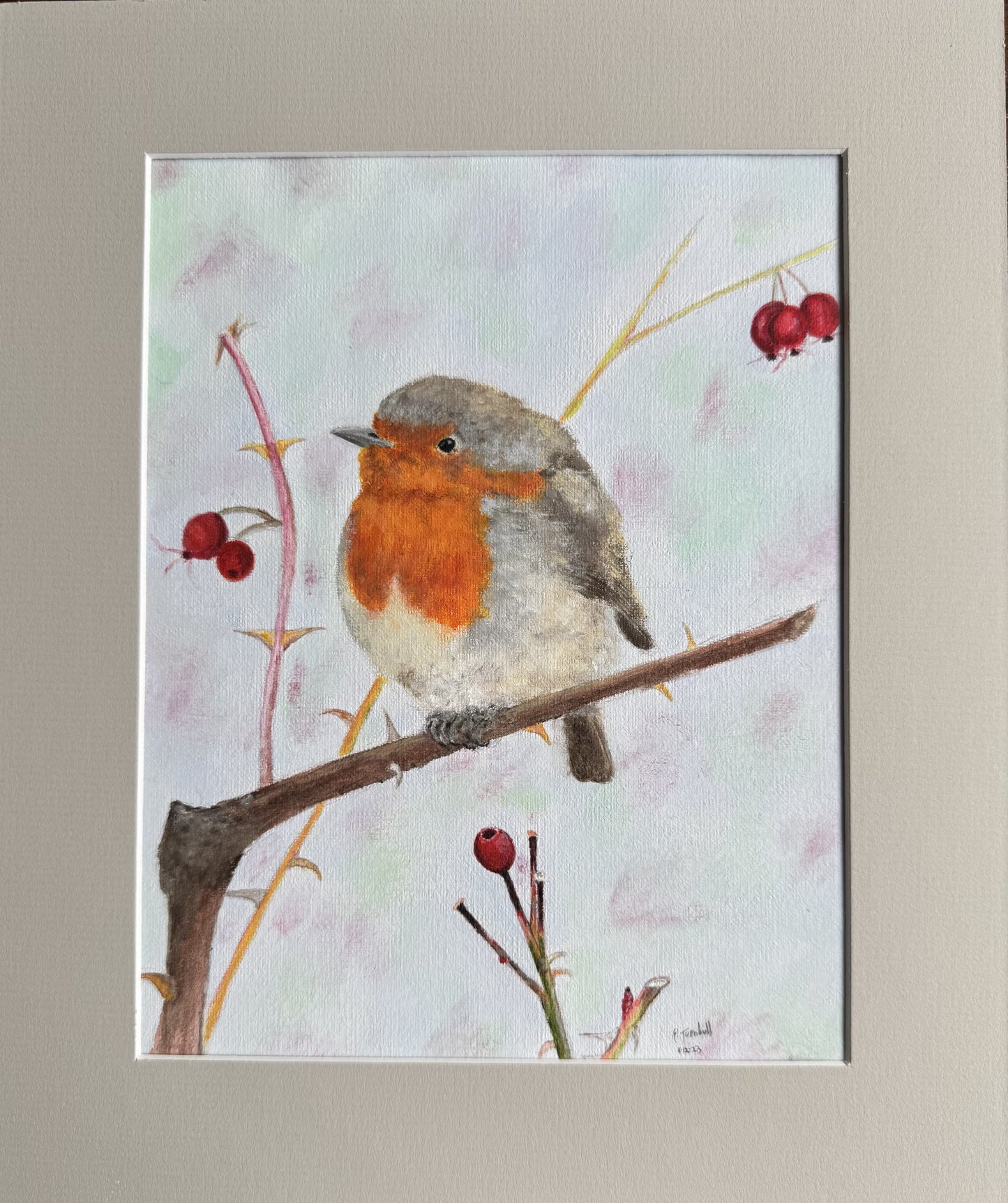 Robin & berries