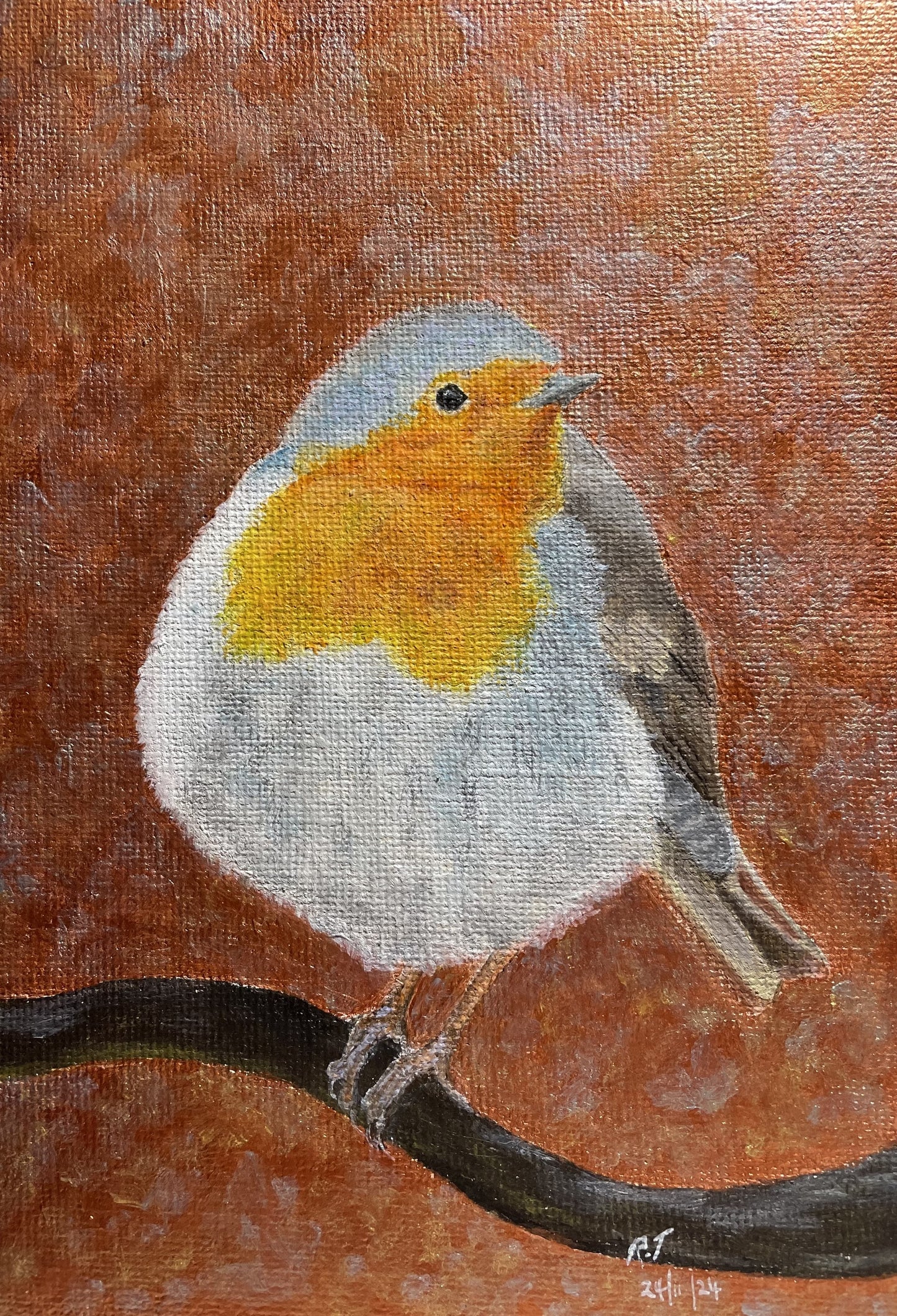 Robin Christmas Greeting Card