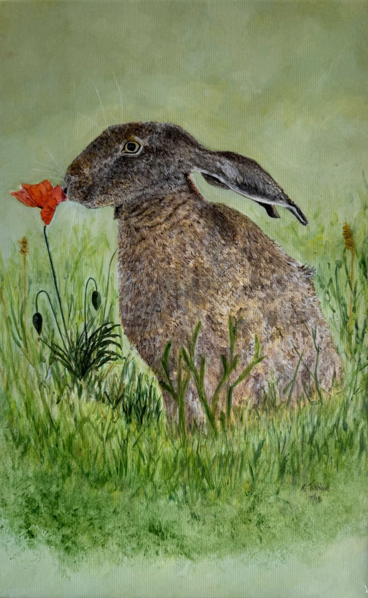 Hare and Poppy Greeting Card