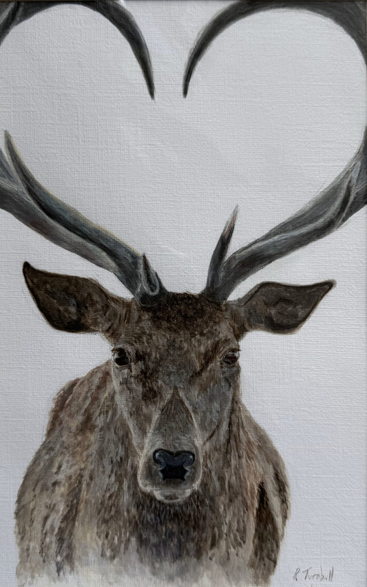 Stag Greeting Card