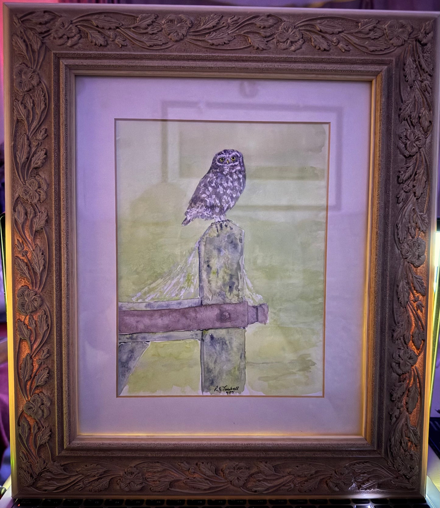 Owl on a fencepost - framed and mounted watercolour