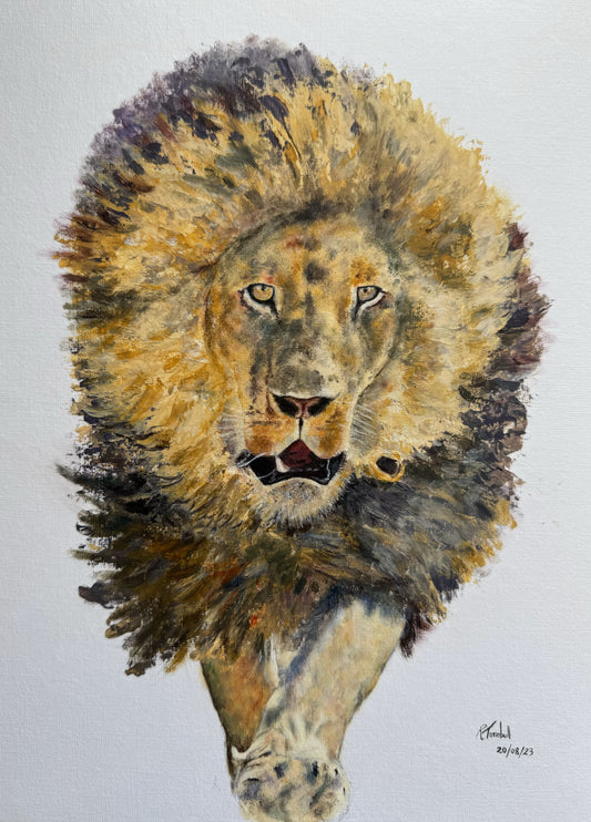 Lion Greeting Card