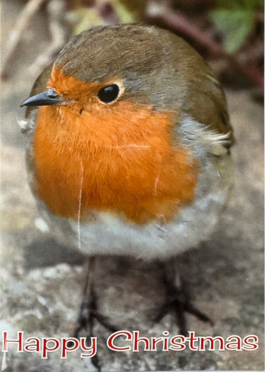 Robin Happy Christmas Greeting Card