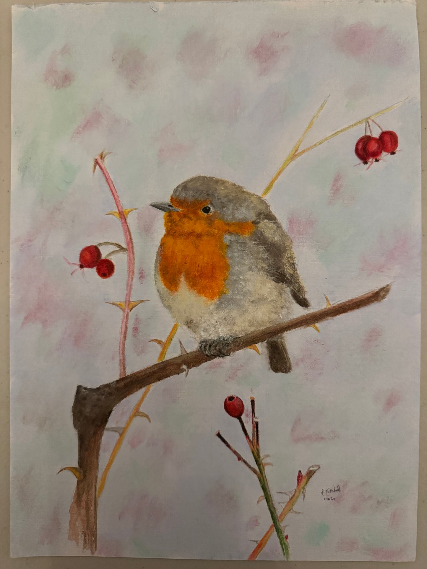 Robin & berries