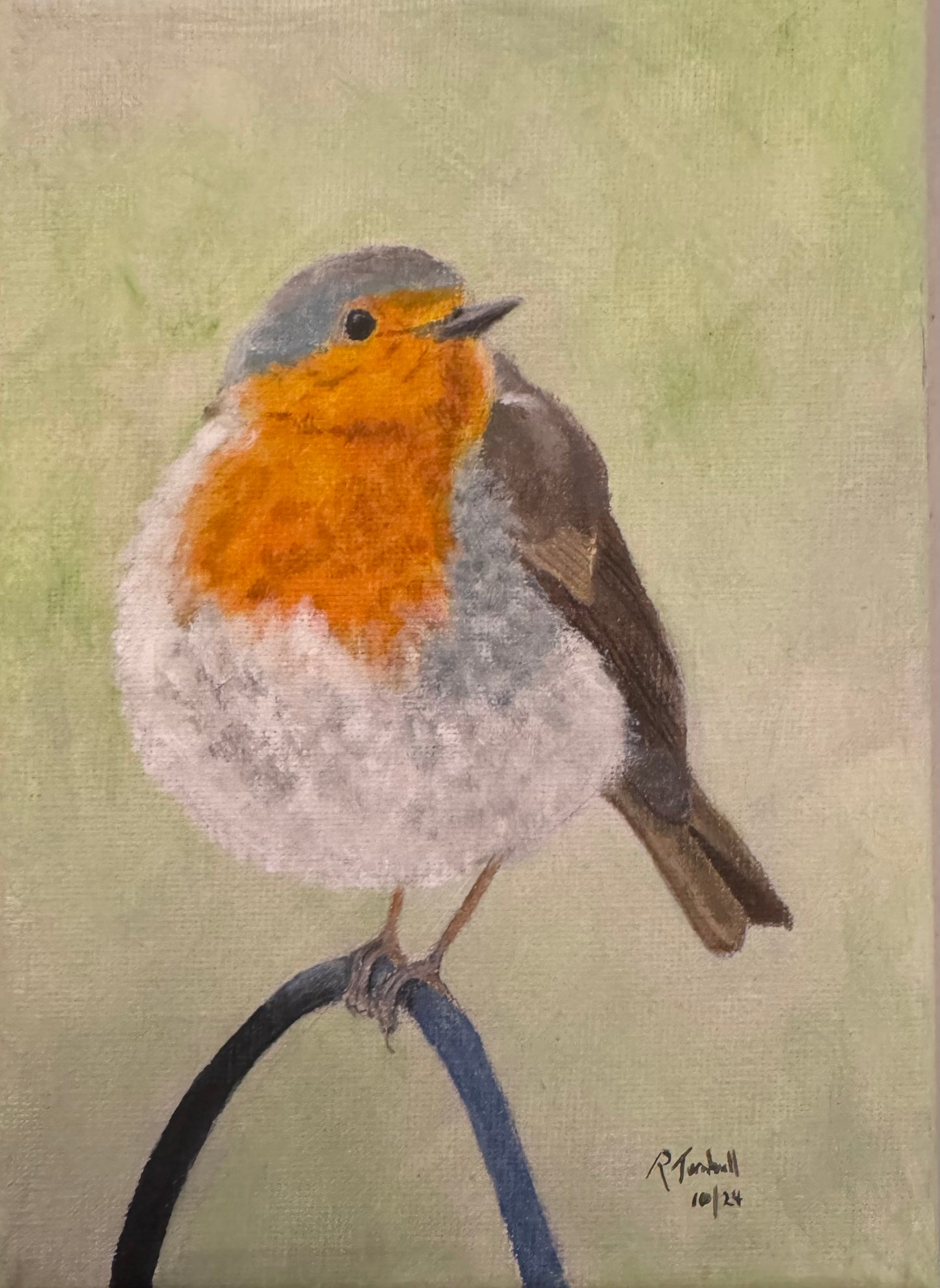 Robin on 7" x 5" canvas frame