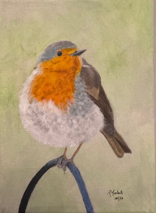 Robin on 7" x 5" canvas frame