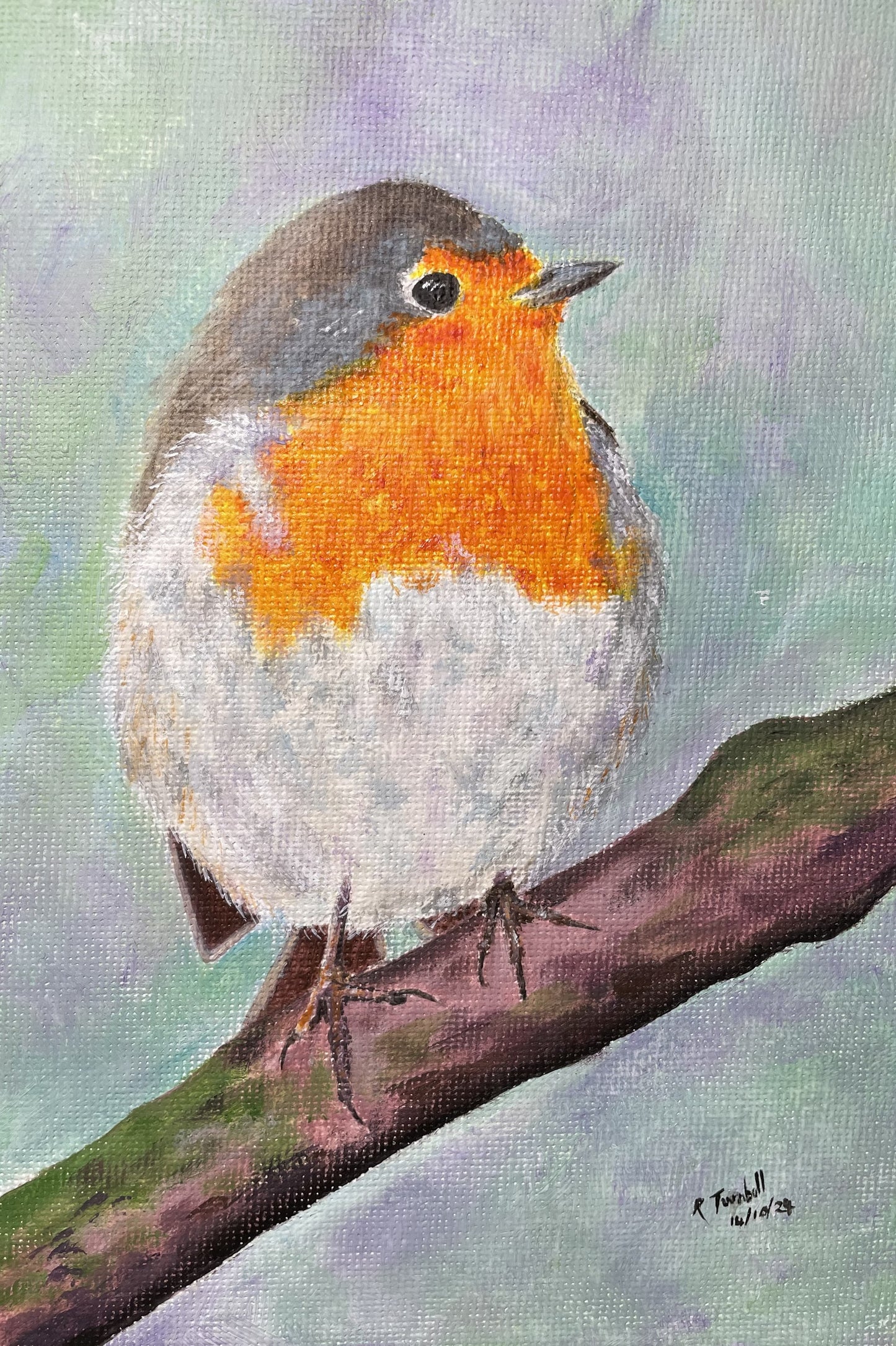 Robin on Branch Christmas Greeting Card