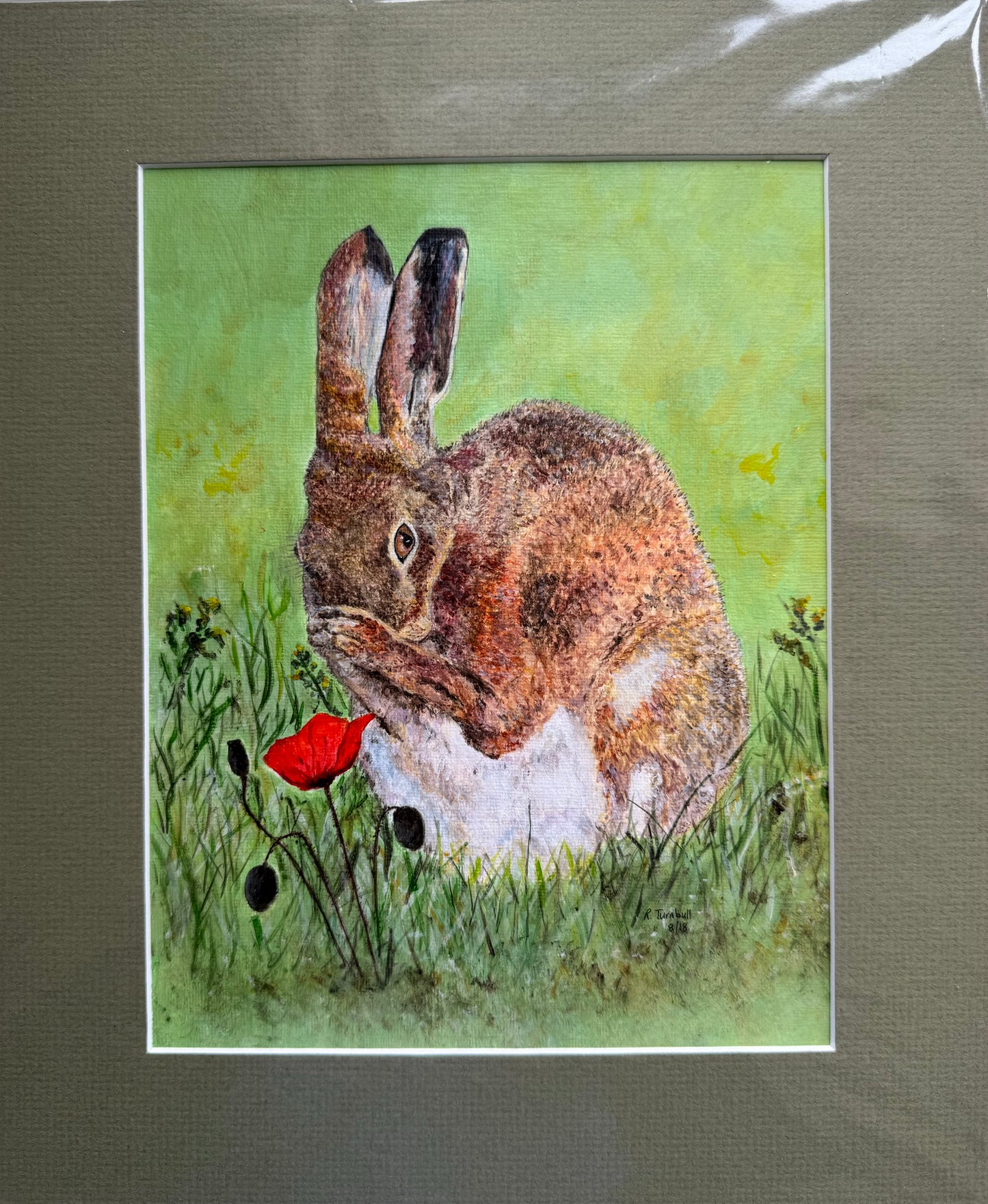 Hare and Poppy